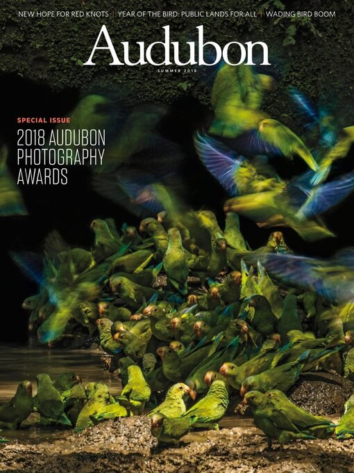 Title details for Audubon Magazine by National Audubon Society - Available